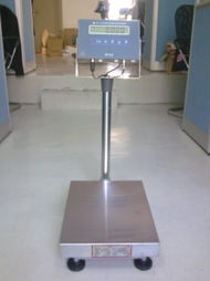 東莞磅秤,報價,防暴磅秤